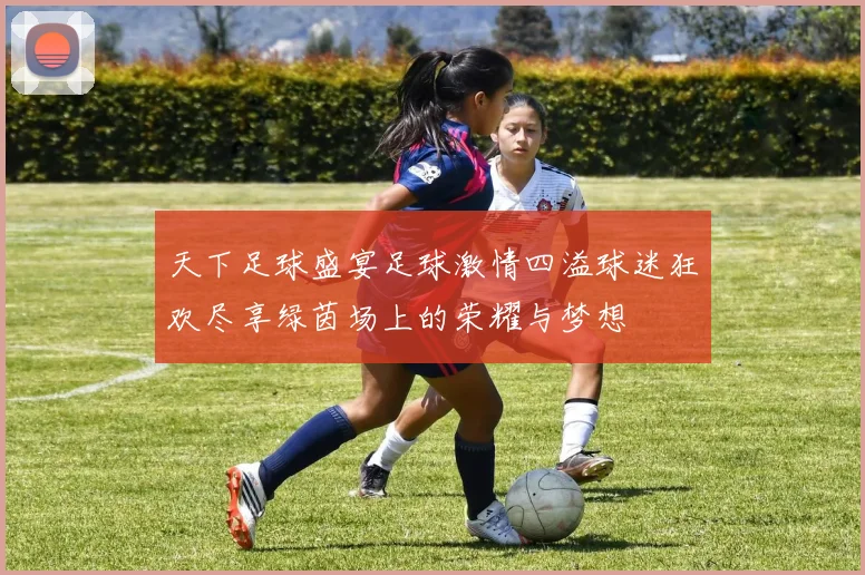 天下足球盛宴足球激情四溢球迷狂欢尽享绿茵场上的荣耀与梦想