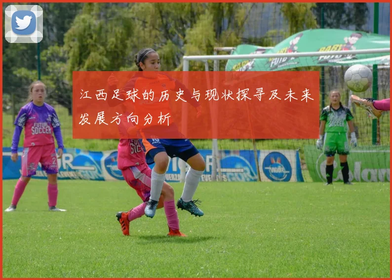 江西足球的历史与现状探寻及未来发展方向分析