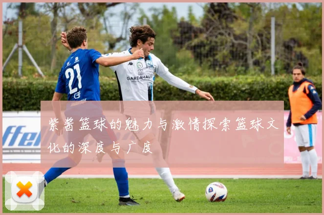 紫酱篮球的魅力与激情探索篮球文化的深度与广度