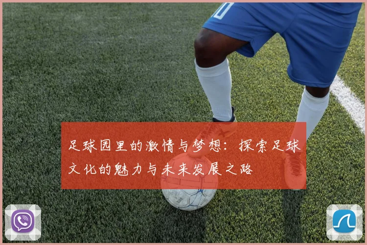 足球园里的激情与梦想：探索足球文化的魅力与未来发展之路