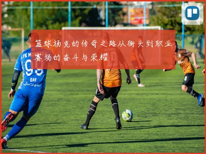 篮球杨克的传奇之路从街头到职业赛场的奋斗与荣耀